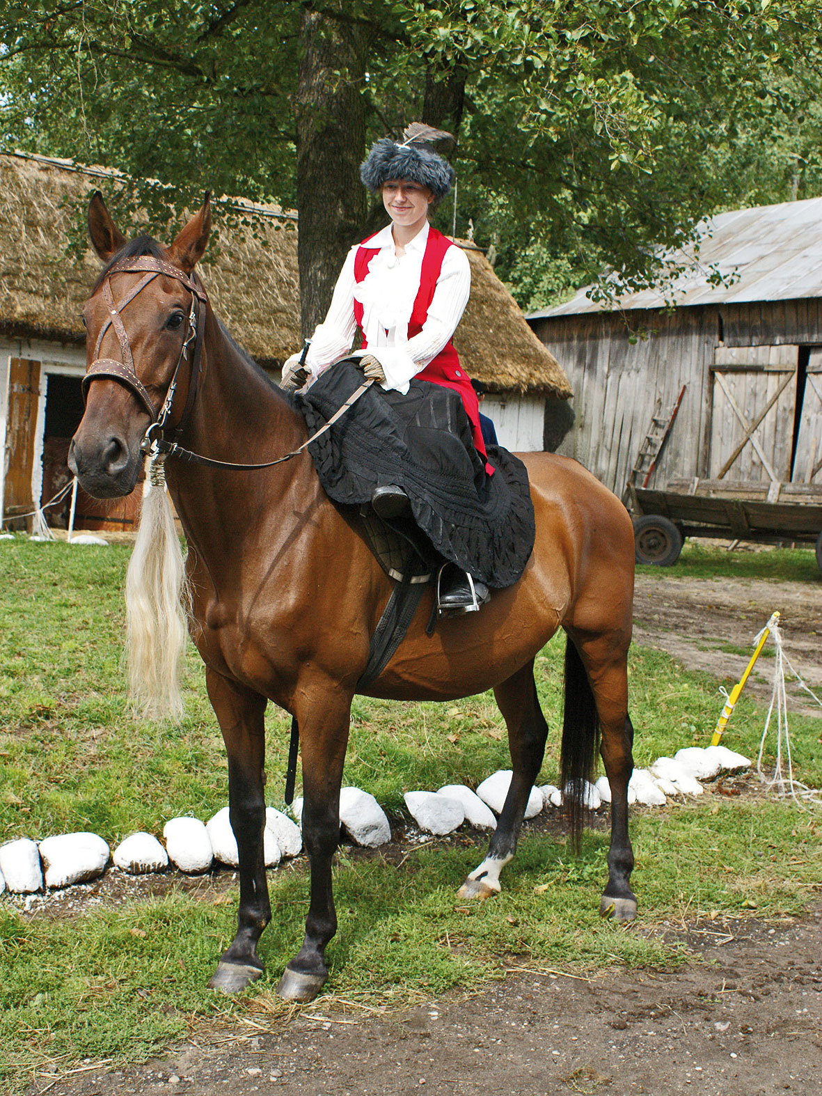 Aukcja w Żarnówce / Konie z oberkiem
