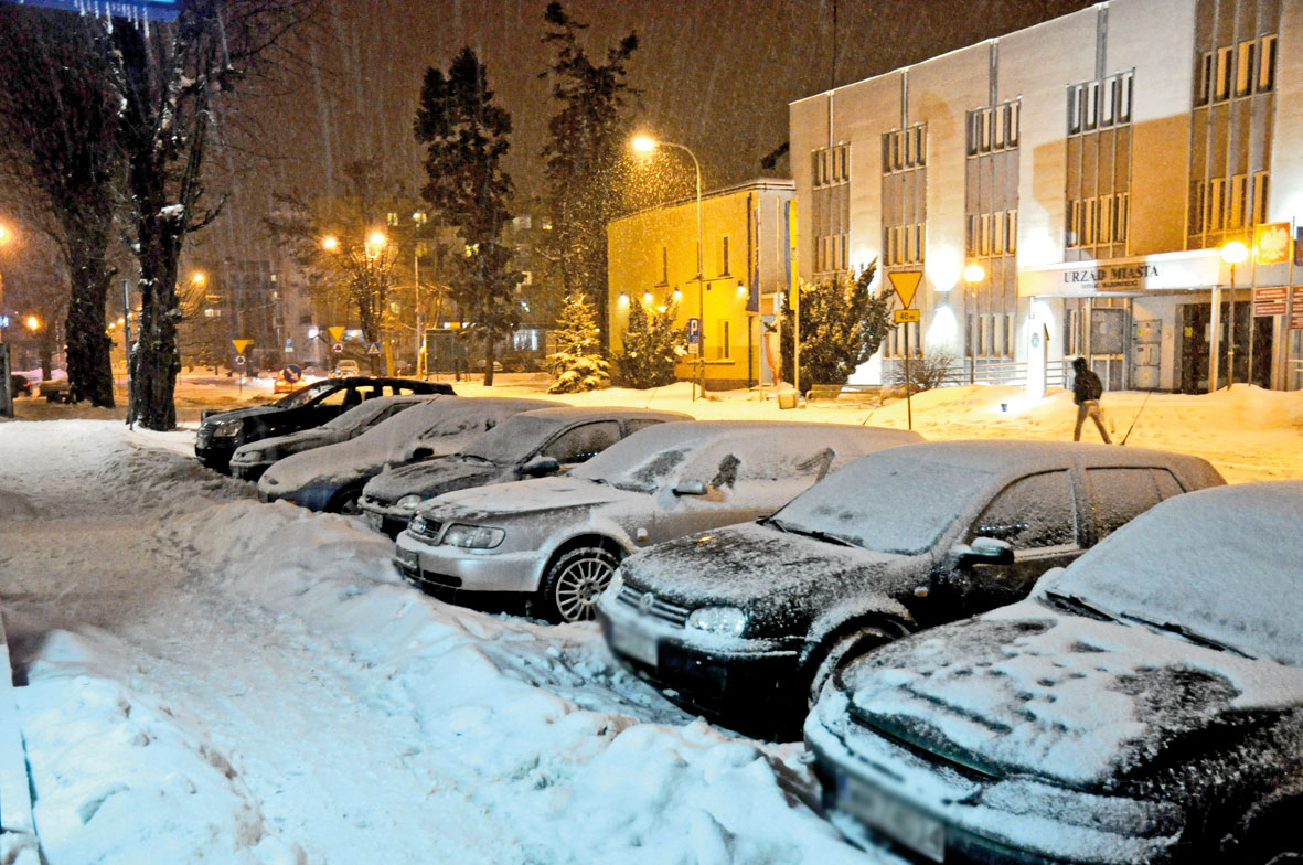 Wzili i napisali... / Siy przyrody