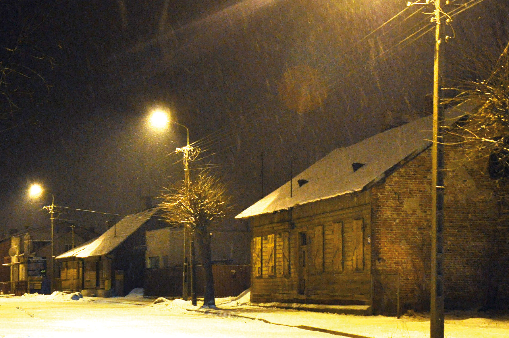 Wzili i napisali... / ysobyki kocielne
