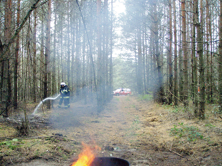 Niebezpieczne rewiry / Podpalili lasy