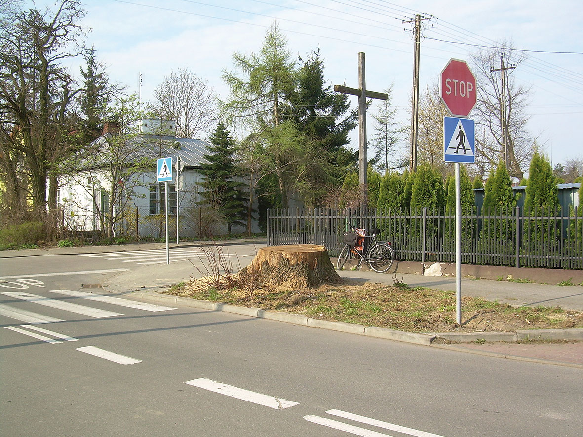 Niebezpieczny kikut