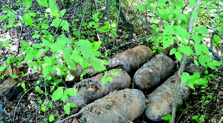 Niebezpieczne rewiry / Olesin bombowy