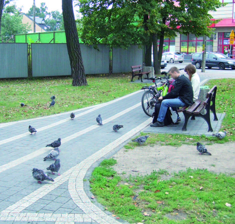 Mińsk Mazowiecki skrzydlate / Gdy karmią brudasów...