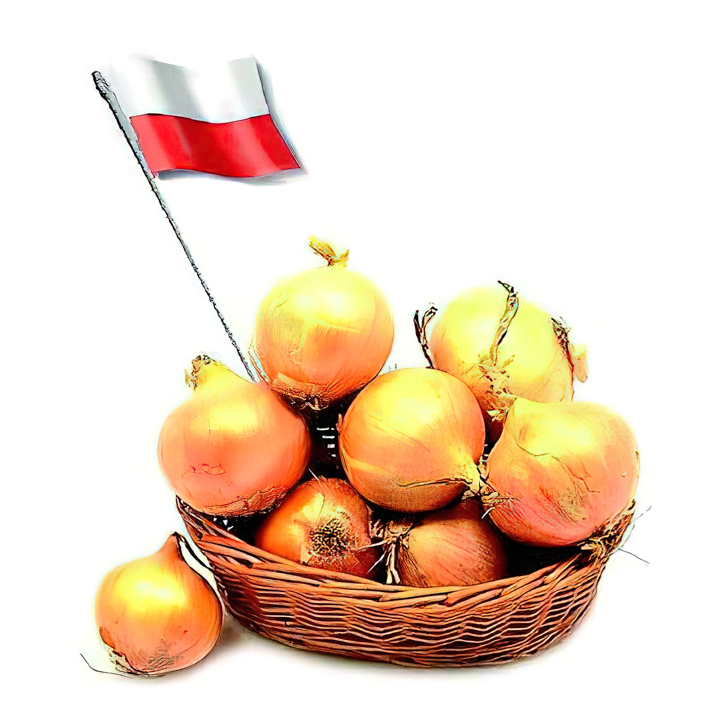 Wzięli i napisali / Sraczka polaczka