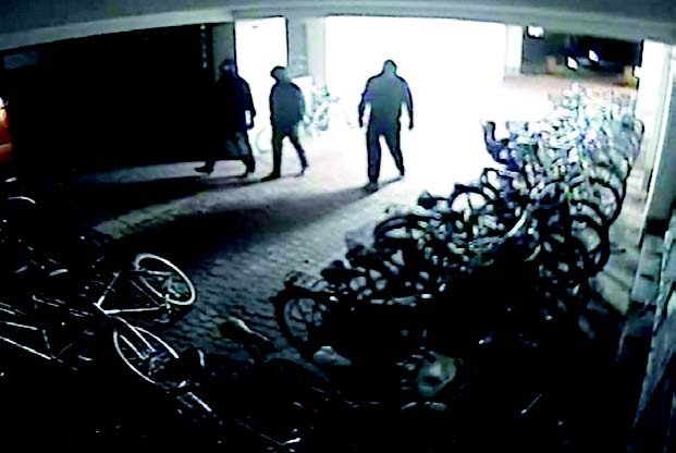 Niebezpieczne rewiry / Nocni rabusie