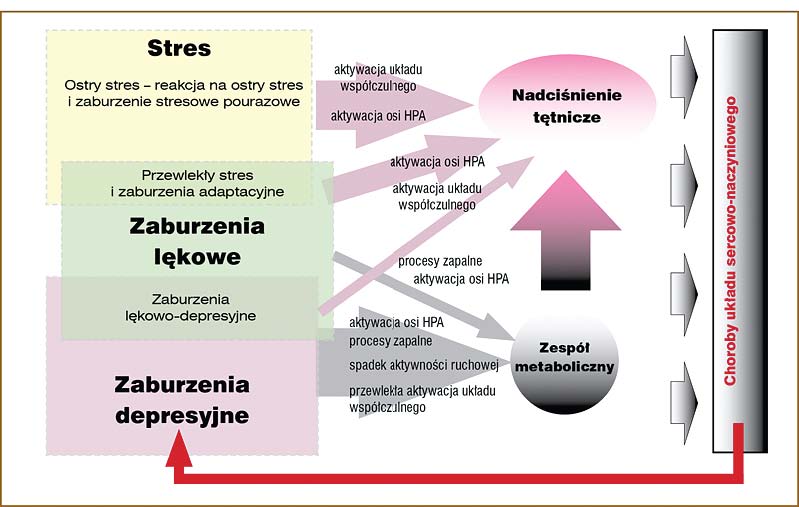 DRODZY CZYTELNICY / Biesy na stresy