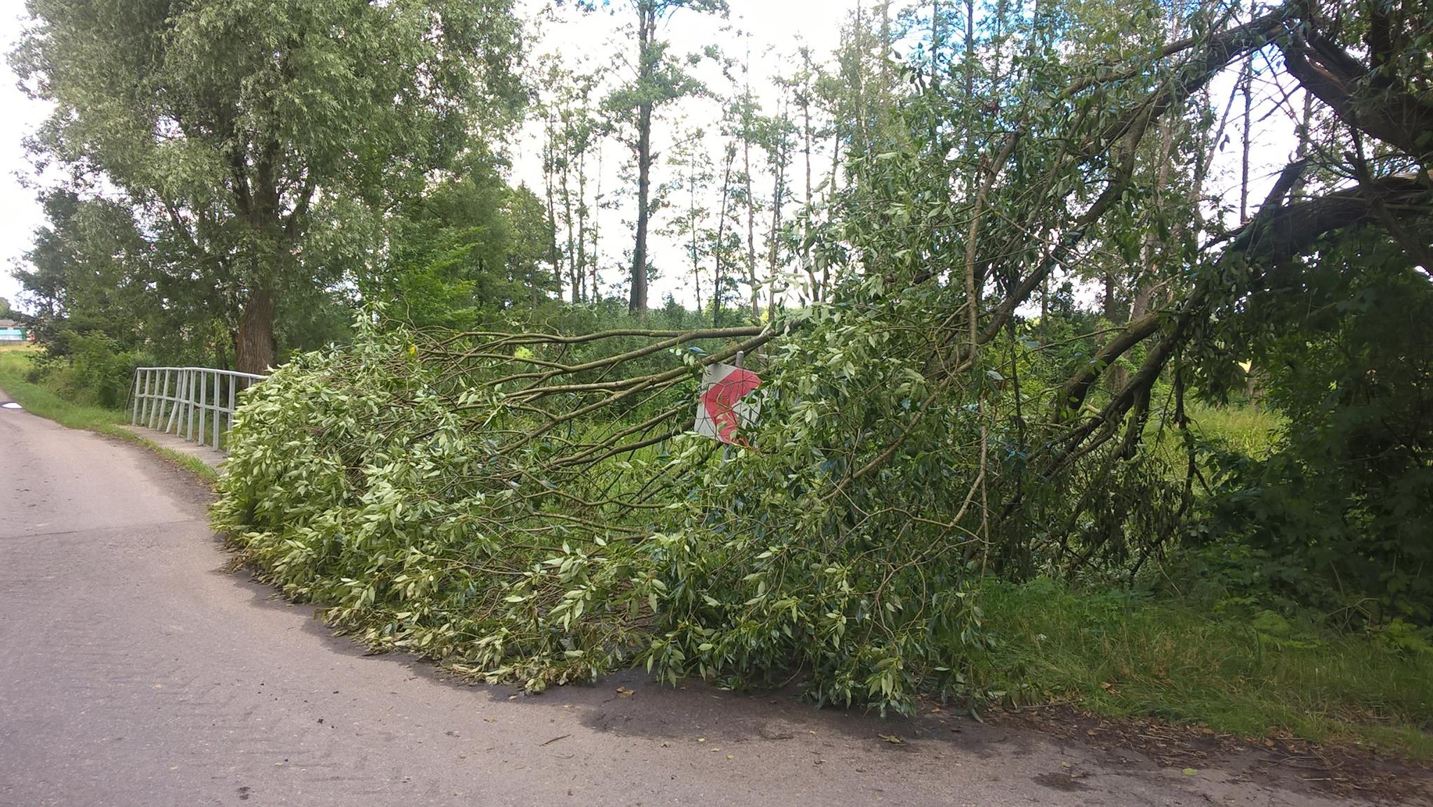 Niebezpieczne rewiry / Sprztanie pogodowe