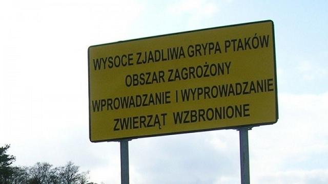 Powiat miski alarmowy / Ptaki z zakazem