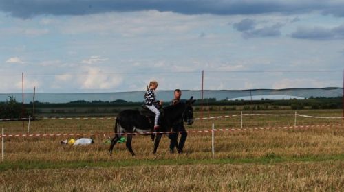 Kty piknikowe 2016 / Najazd kontrolowany