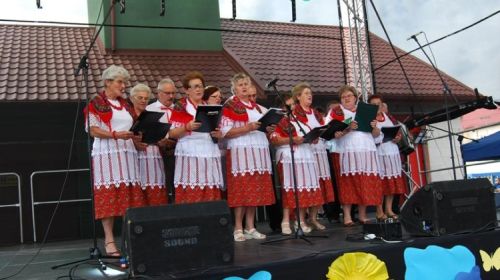 Latowicz doynkowy 2016 / Znojne kosy